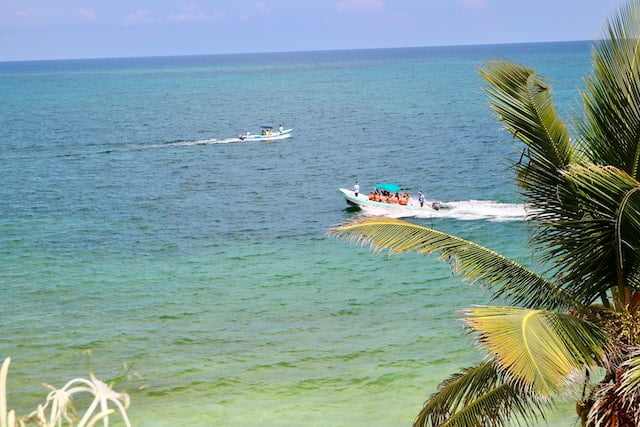 Boat tours