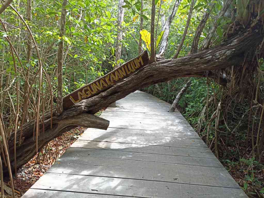 kaan luum lagoon tour