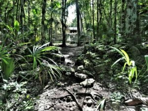 muyil ruins tulum