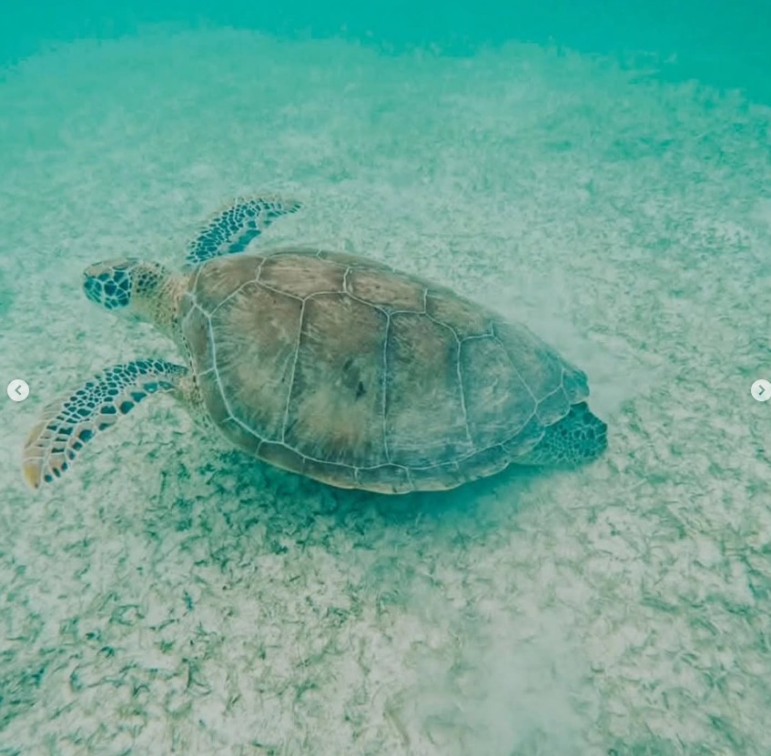 Tulum Activities top spots