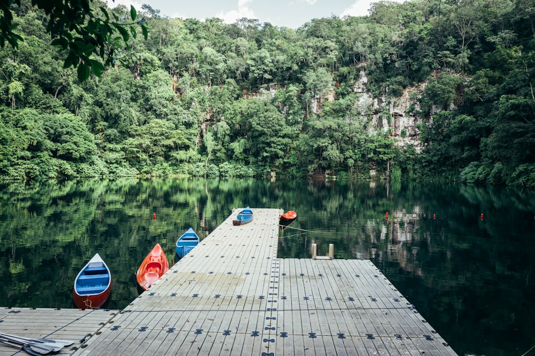 Kayak & Paddle Board